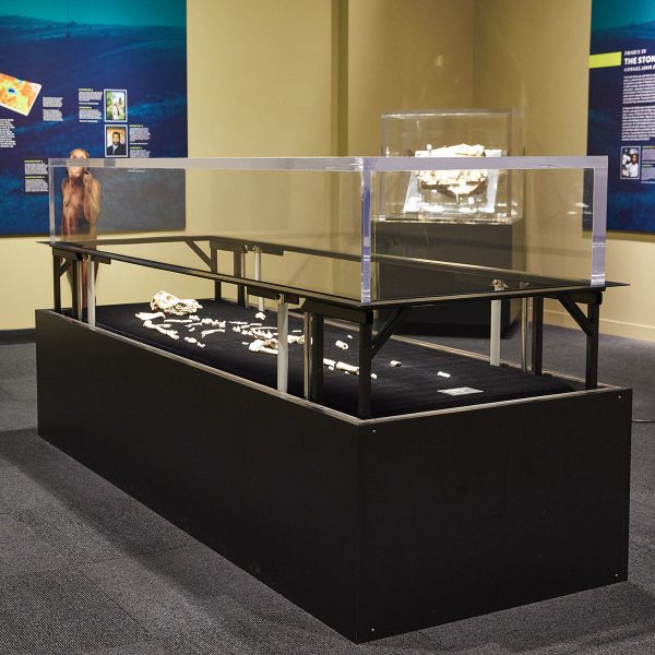 museum display, custom display, custom metal work, willson metalwork, custom fabrication, custom built display